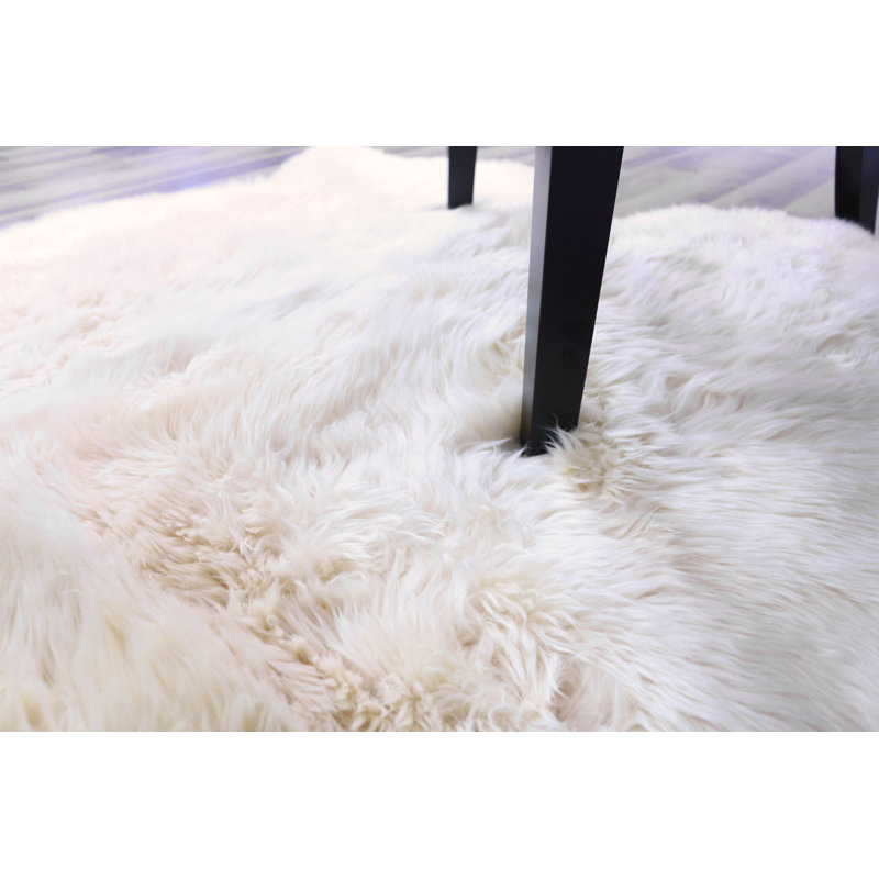 Fraley Sheepskin Indoor Rug, Novelty 4' x 6'
