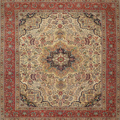 Suvak Oriental Indoor Rug