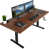 Dark Walnut/Black