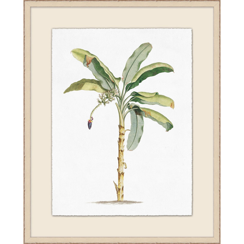 Palm Illustration Print by Lillian August