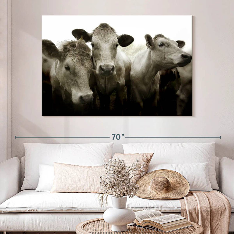 Brampt Three White Cows, 34" H x 51" W