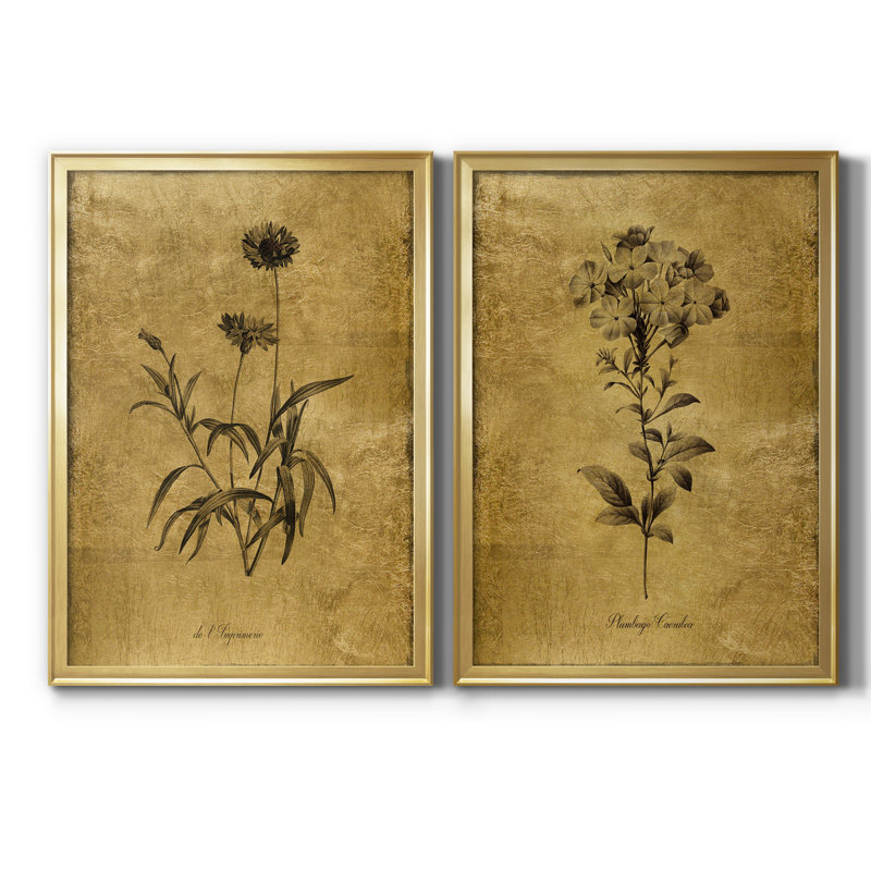 Gold Framed Botanical Sketch Canvas Print Set