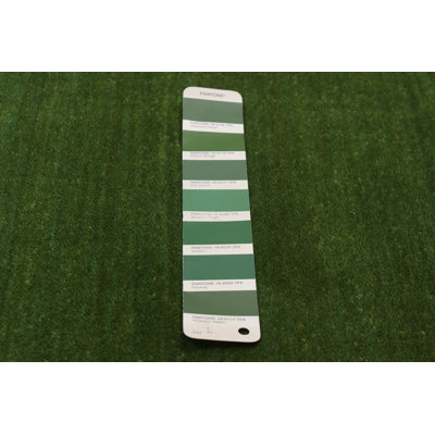 Kashkuli Gabbeh Green Rug 2'8" x 9'9"