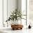 Teak Handmade Display Stand