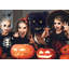 Halloween, masque effrayant d'Halloween, lapin et lapin-677015674
