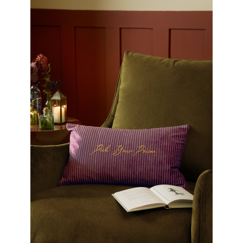 Pick Your Poison Striped Cushion Cover