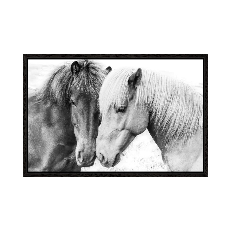 Sisi & Seb by Sisi & Seb - Floater Frame Gallery-Wrapped Canvas Giclée on Canvas, 45.72 cm H x 66.04 cm W, Black