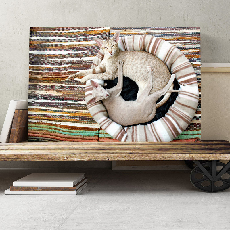 Siamese Cat - Wrapped Canvas Print, 50cm H x 76cm W