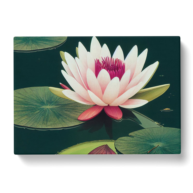 Breathtaking Water Lily Flower - Wrapped Canvas, 50cm H x 76cm W x 3cm D