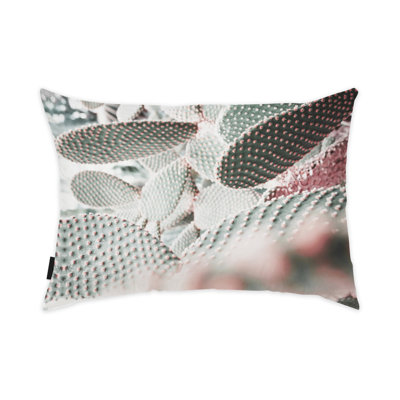 Housse et insert pour coussin Botanicals