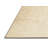 Aiyat Oriental Indoor Rug-1447932707
