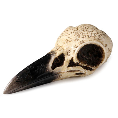 6.3 in L Raven Skull Poly Resin