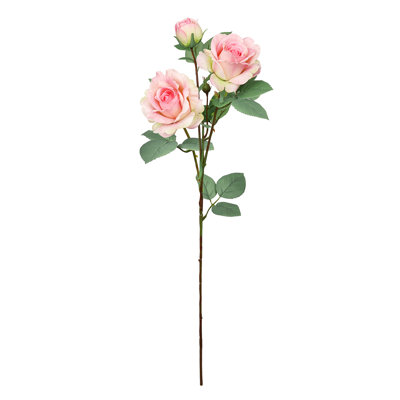 Fleur de sucre en aérosol