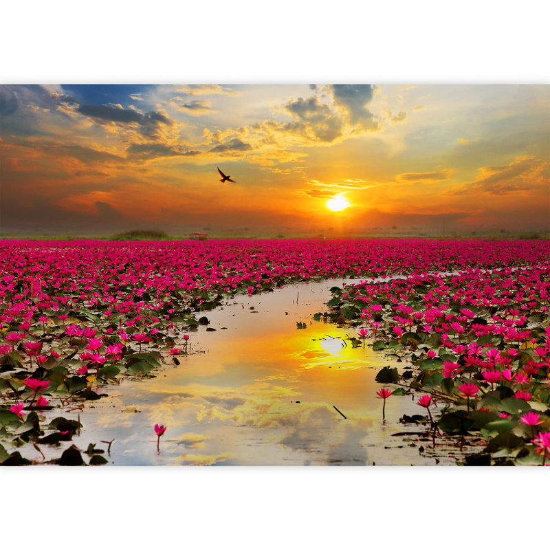 Panneau de papier peint adhésif Sunshine Rising, L 100 po x l 144 po