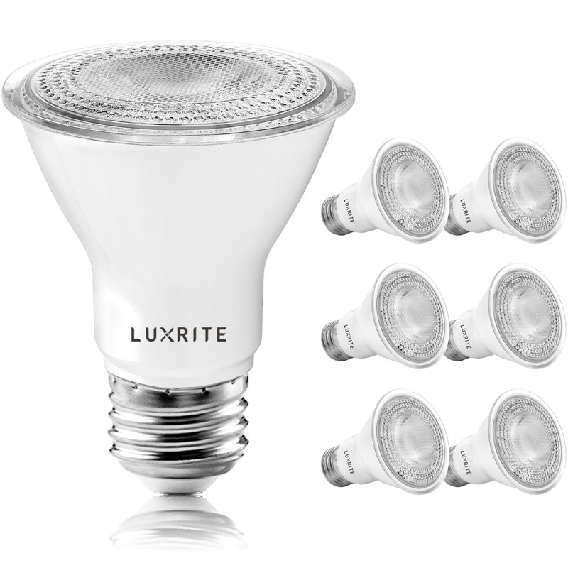 7 watts (50 watts équivalents), DEL PAR20, ampoule à intensité variable, culot E26 / moyen (standard), 5000 K