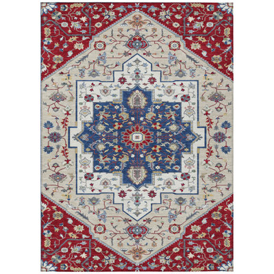 Machine Washable Indoor/Outdoor Chantille ACN2533 Traditional Rug