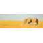 «Elephant And Its Little One» sur toile-345228598