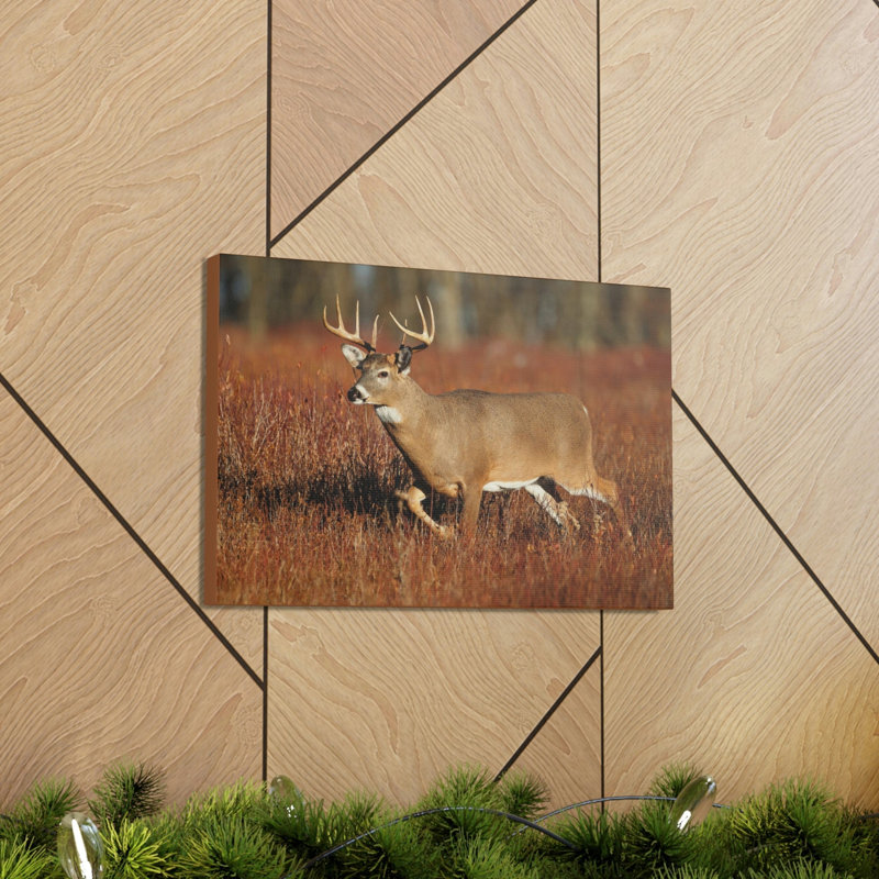 No Frame Print on Canvas, 16cm H x 12cm W