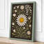Daisy Studies Botanical - Wrapped Canvas-878557713-878557718