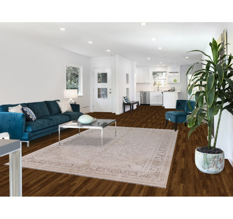 Tapis de salon traditionnel 6 x 10
