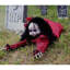 Haunted Hill Farm, poupée animée hantée animée avec lumières et son, décoration d'Halloween d'intérieur ou d'extérieur couverte