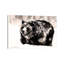 Frosty Shower by Soo Beng Lim - Wrapped Canvas Gallery-Wrapped Canvas Giclée-249405886
