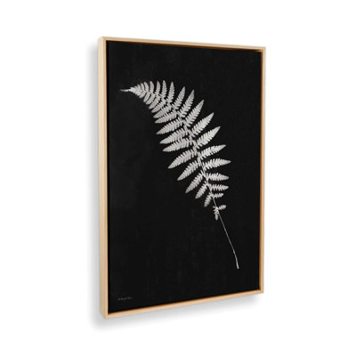 Simple Fern by Robin-Lee Vieira Art Print