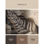 Machine Washable Parrilla Fern Modern & Contemporary Abstract Rug in Beige – Beige Binding-1173445629