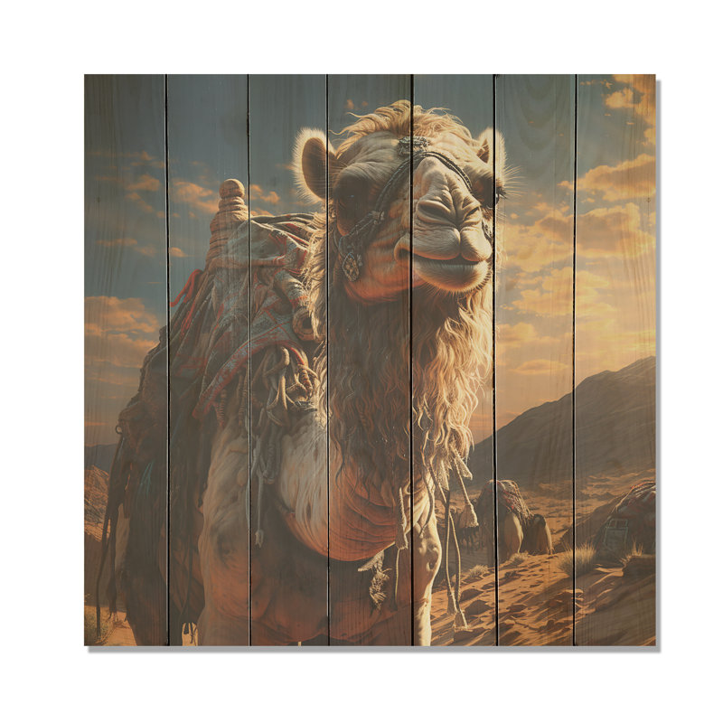 Majestic Camel Desert Wanderer II - Fruits On Wood Print, 30" H x 30" W