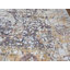 Tapis zone rectangulaire noué la beige/gris 8 pi 11 po x 12 pi one-of-kind Dvorak