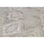 Geometric Area Rug in Beige