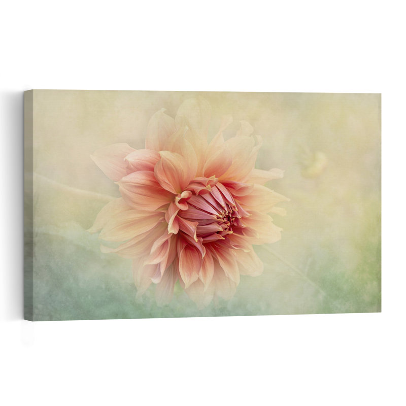 Dahlia pêche tendre, impression d'art mural abstraite et délicate représentant une fleur de dahlia onirique, inspirée par la nature.