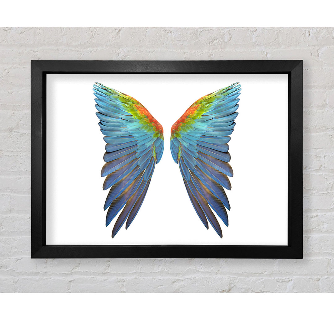 Papagei Vibrant Wings - Druck