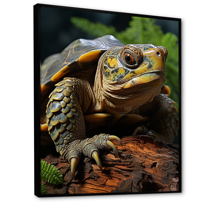Gros plan sur une tortue vibrante, H 20 po x l 12 po x P 1 po, Cadre flottant noir