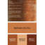 Tapis orange/beige traditionnel Coleharbor-1098608646