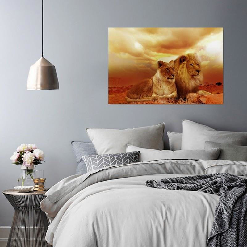 Leinwandbild Lions Animals Africa Braun