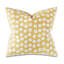 Velvet Square Pillow Cover & Insert-102744126-103730046