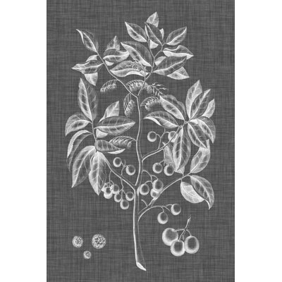 Graphic Foliage VI - Wrapped Canvas Print
