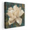 Gardenia Blossom - reproduction d'art sur toile