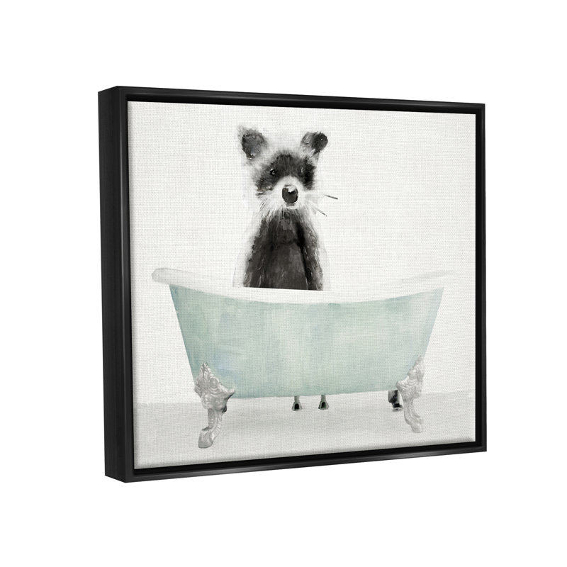 «Raccoon In A Tub», dessin amusant sur toile par Stellar Design Studio, Cadre flottant noir de jais