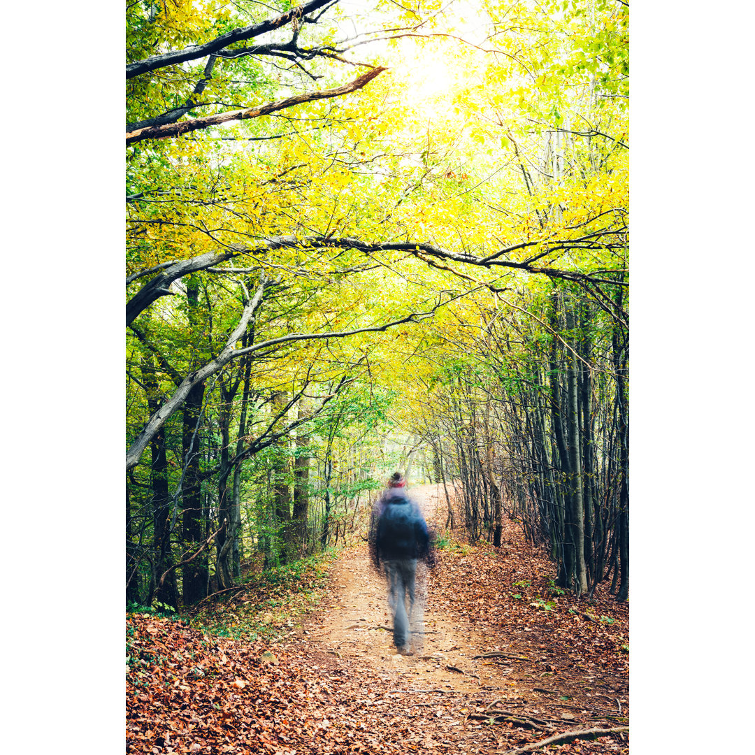 Wandern im Herbstwald von Borchee - Kunstdrucke ohne Rahmen auf Leinwand