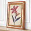 Burgundy Study Botanical - Wrapped Canvas-896865132-896865135