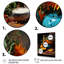 Indian Art Spices Of India 2 - Art mural indien-531863064-531863070