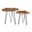 Ensemble de tables d'appoint 2 pièces Binoche