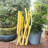 3 Piece Patio Bistro Set Of Foldable Square Table And Chairs-826755095