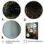 «Augustinas Beaver Animal», photographie sur toile-632744377-632744383