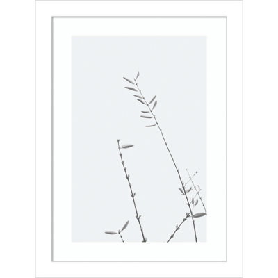 Retro Tennessee Botanical No 3 Photo Print