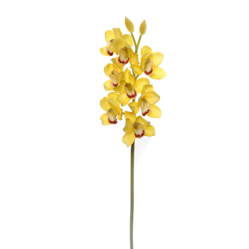30" Tall Cymbidium Stem with 10 Flowers, Yellow, 6