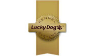 Logo Lucky Dog