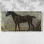 Vintage Animal Series-LII- Gallery Wrapped Canvas -Ready to Hang-1590969651